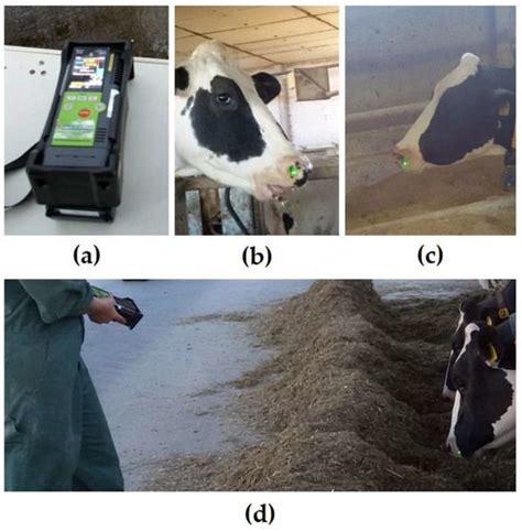 methane analysis methods|field methane emission monitoring.